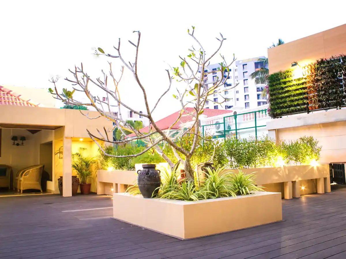 Courtyard landscaping at dusk in Trivandrum - landscape design by Radianz, architects in Trivandrum