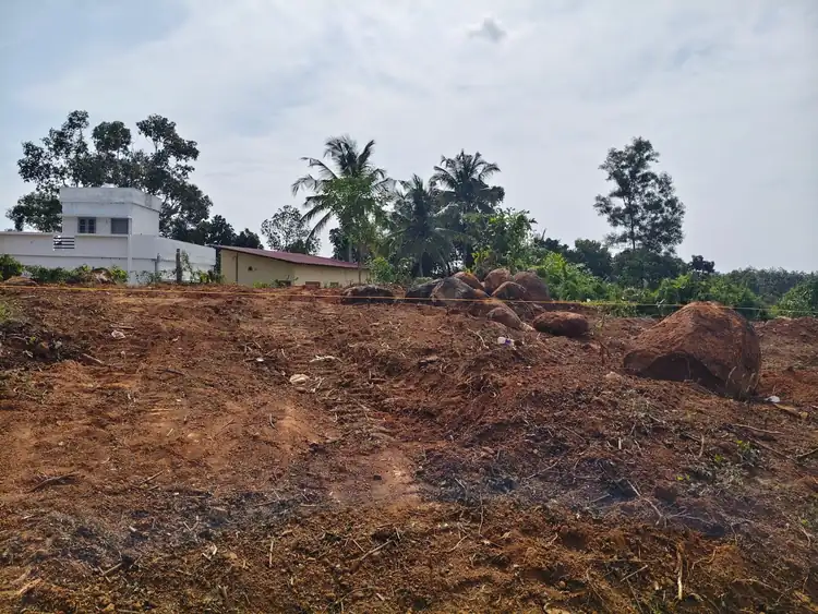 Cleared plot rising toward neighbouring houses, with boulders and a setting-out line across it